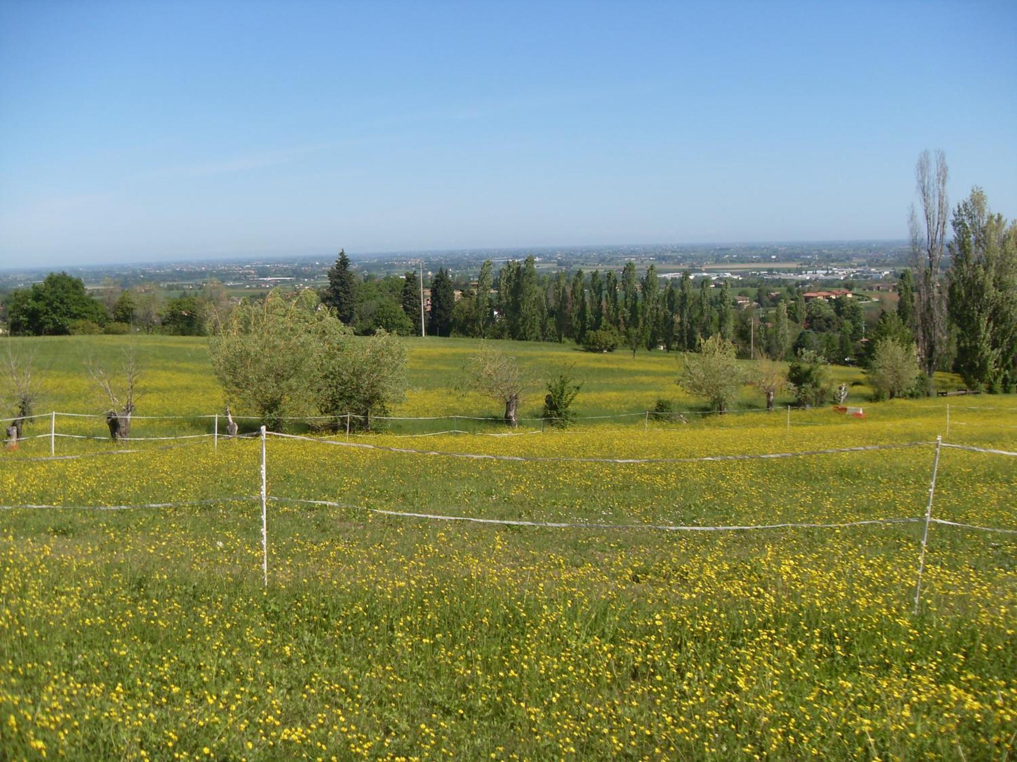 Agriturismo Montevecchio Isolani Monte San Pietro Екстер'єр фото