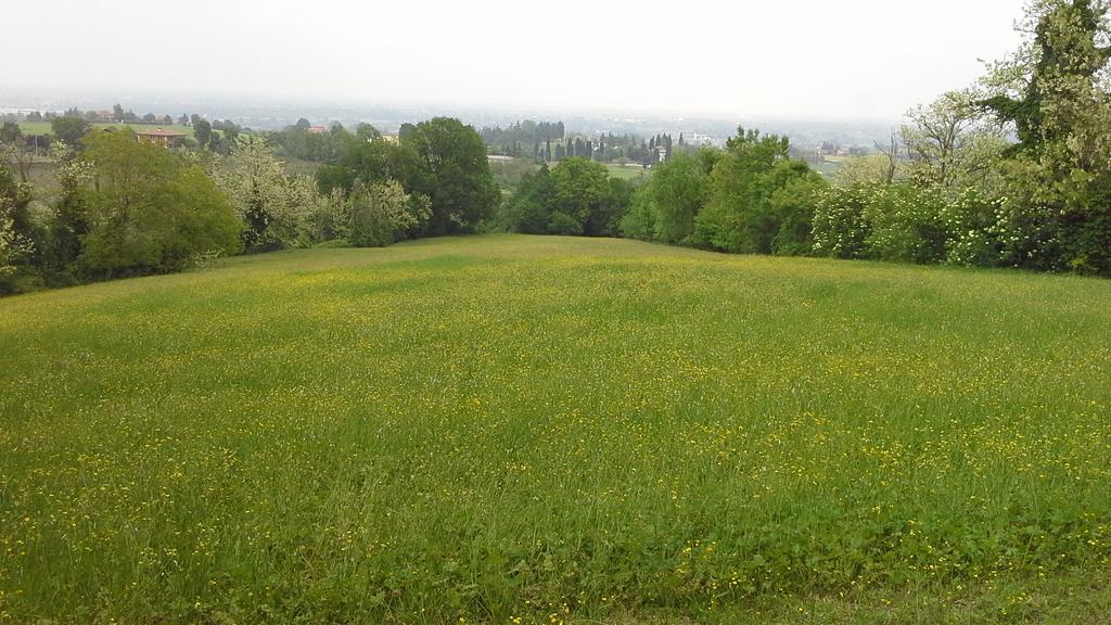 Agriturismo Montevecchio Isolani Monte San Pietro Екстер'єр фото