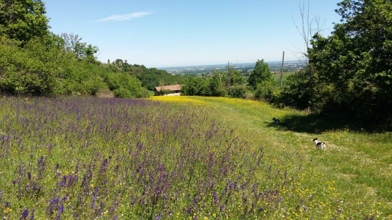 Agriturismo Montevecchio Isolani Monte San Pietro Екстер'єр фото