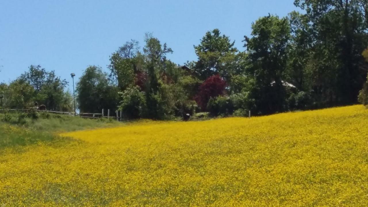 Agriturismo Montevecchio Isolani Monte San Pietro Екстер'єр фото